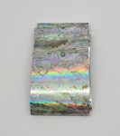 Folia Transferowa nr 78