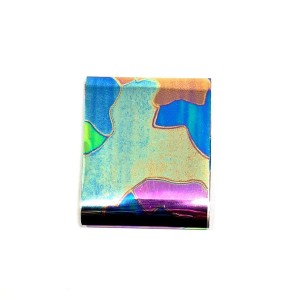 Folia Transferowa nr 98