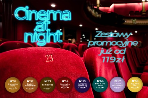 Cinema at night copy.jpg